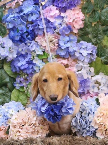 20250604レオンくん